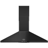 CHIM110 Black
