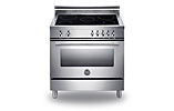 Professional Series 90 Single Induction